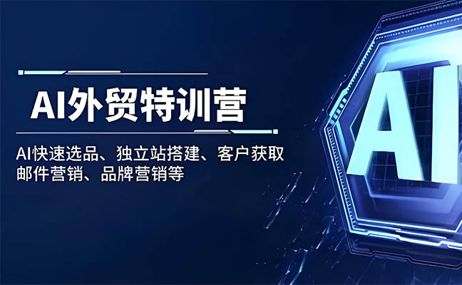 AI外貿訓練營:從0到3外貿萬人實戰(zhàn)課(視頻+工具包)-百萬資源網